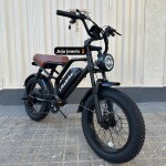 Vélo Électrique Likebike HARLEY Professional  48V